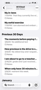 Screenshot of iPhone notes app showing a list of personal journal entries