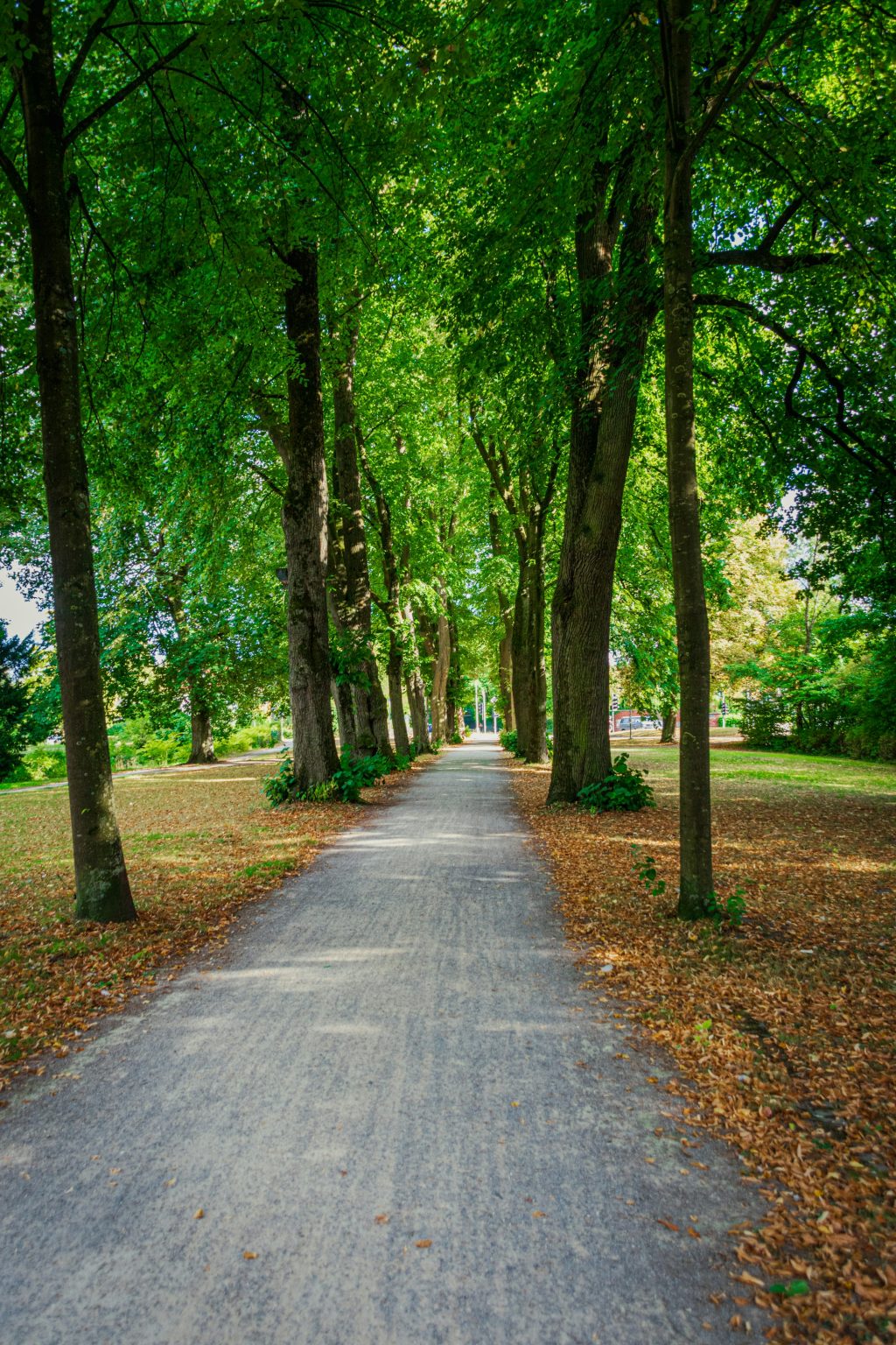 What exercise looks like&nbsp;now